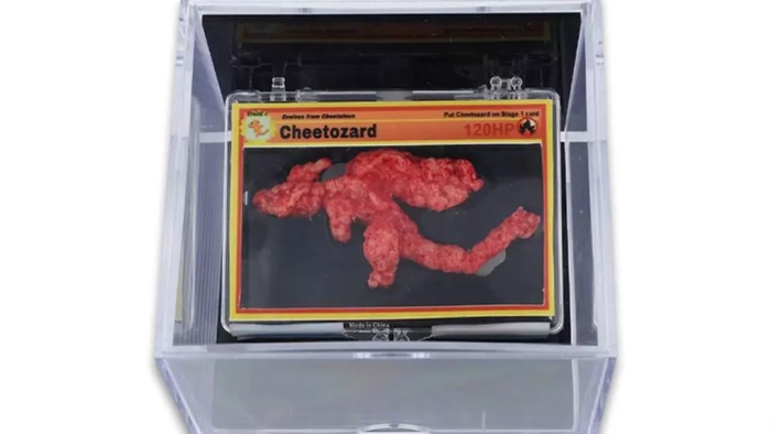 Charizard Şeklindeki Cips Rekor Fiyata Satıldı