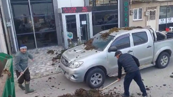 CHP’nin belediye başkan adayına dışkı şoku